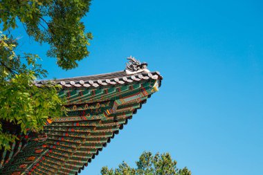Kore 'deki Jogyesa Tapınağı geleneksel çatılı yeşil ağaçlarla Seul, Kore