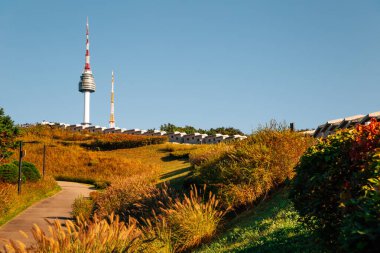 Namsan Parkı sonbaharda Kore 'nin Seul şehrinde yürüyüşe çıkar.