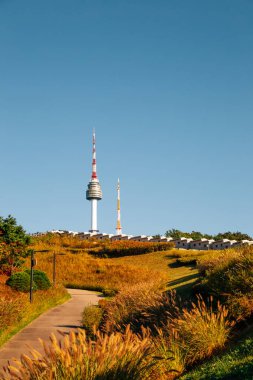 Namsan Parkı sonbaharda Kore 'nin Seul şehrinde yürüyüşe çıkar.