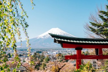 Arakurayama Sengen Park Tapınağı Torii kapısı ve Fuji Dağı baharda Japonya 'nın Yamanashi kentinde.