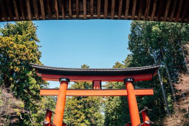 Fujiyoshida Kitaguchi Hongu Fuji Sengen Tapınağı Torii kapısı Yamanashi, Japonya 'daki Fuji Dağı yakınlarında.