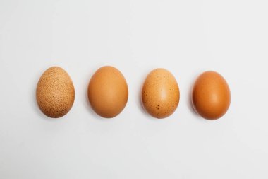 yumurta, gıda, izole, yumurta, kahverengi, beyaz, tavuk, Kahvaltı, organik, kabuk, ham, sağlıklı, protein, üç, Paskalya, madde, taze, nesne, hayvan, Doğa, makro, Grup, çiftlik, yumurta kabuğu, doğa