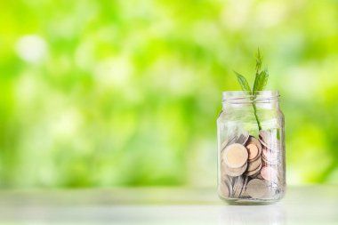 Para faiz tasarrufu paralar içinde bitki büyüyen para tasarruf el koyarak paralar ile yeşil doğal arka plan cam kaydetme
