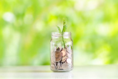 Para faiz tasarrufu paralar içinde bitki büyüyen para tasarruf el koyarak paralar ile yeşil doğal arka plan cam kaydetme