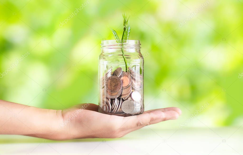 Save money interest Plant Growing In Savings Coins money in the glass saving money with hand putting coins Green Natural background