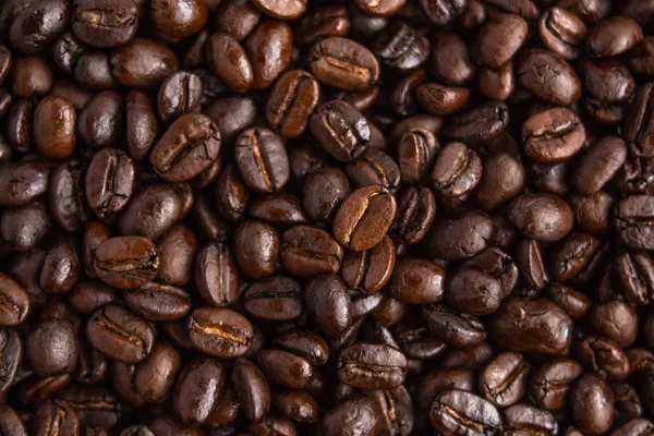 Kahve, kahve çekirdeği beyaz fincan kahve sevdiğini kahve kahve arka plan