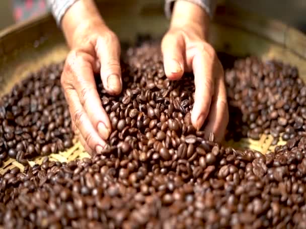 Arabica Grano Café Mano Agricultor — Vídeos de Stock