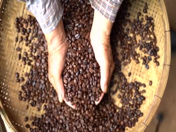 Arabica Grão Café Mão Agricultor — Vídeo de Stock