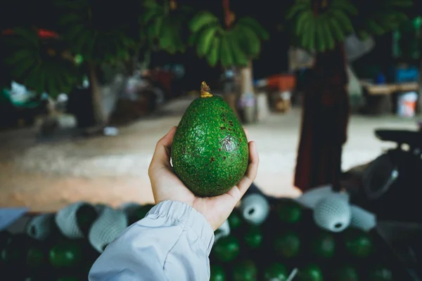 Tienda Verde Aguacate Asia Camino — Foto de Stock