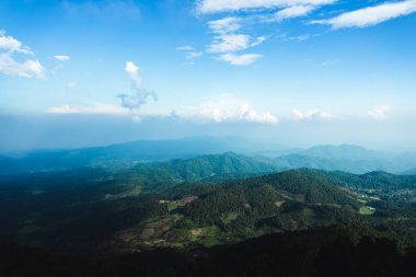 Ormandaki ağaçlar ve dağ manzaraları seyahat