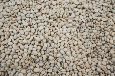 Parşömen kahve kuru fasulye kahve, kahve evin içinde kurutma