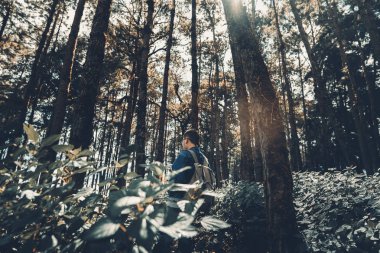 Ormanda tek başına ormandaki 