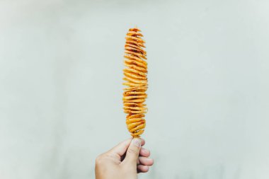 Kızarmış patates büküm Tornado patates gıda