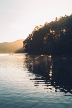 Göl ve orman Pang Ung sabah