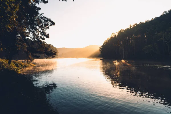 Göl ve orman Pang Ung sabah