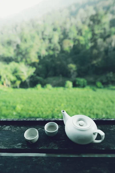 Чайная Плантация Цветок Чая Утреннем Темном Тоне — стоковое фото