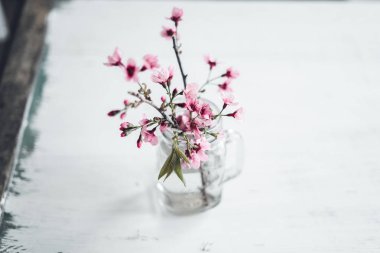 Beyaz tencere Içinde succulent el Ekim odada beyaz arka plan