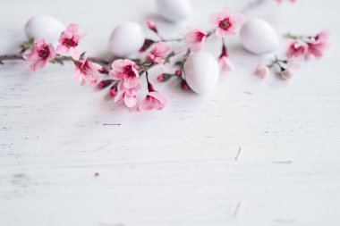 Beyaz tencere Içinde succulent el Ekim odada beyaz arka plan