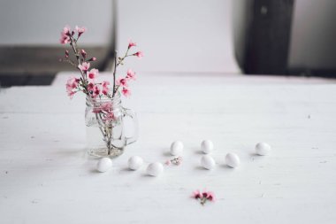 Beyaz tencere Içinde succulent el Ekim odada beyaz arka plan