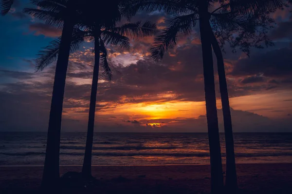 Zachód Słońca Plaży Kolor Nieba Wieczorem Morzu Drzew Kokosowych — Zdjęcie stockowe