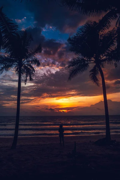 Sonnenuntergang Strand Die Himmelsfarbe Abend Meer Und Kokospalmen — Stockfoto