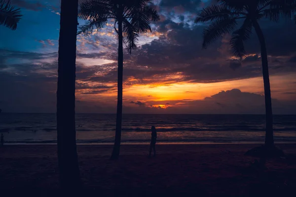 Sonnenuntergang Strand Die Himmelsfarbe Abend Meer Und Kokospalmen — Stockfoto