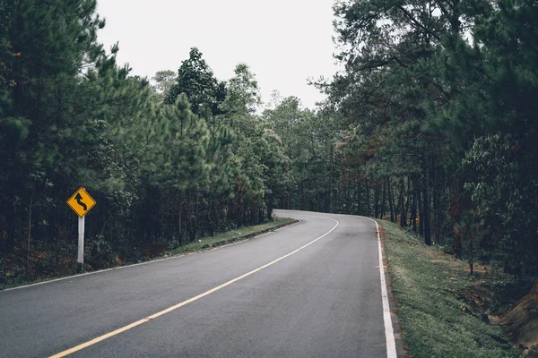 Yağmur mevsiminde dağ yolları ve ağaçlar