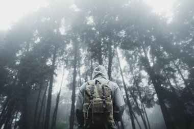 Orman Yağmuru ve Sis Dağda