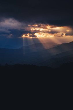 Beyaz Arka Plana Karşı Hindistan Cevizinin Yakın Çekim
