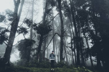 Sis ve yağmur ormanında, karanlık