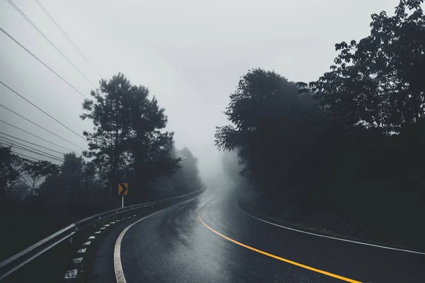 梅雨の森への道 — ストック写真