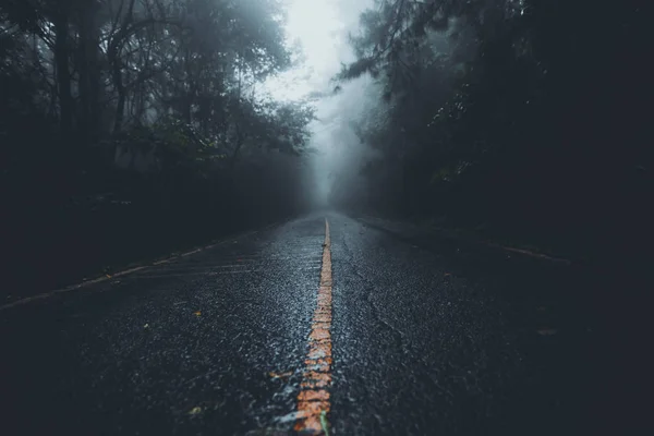 Camino Hacia Bosque Temporada Lluvias — Foto de Stock