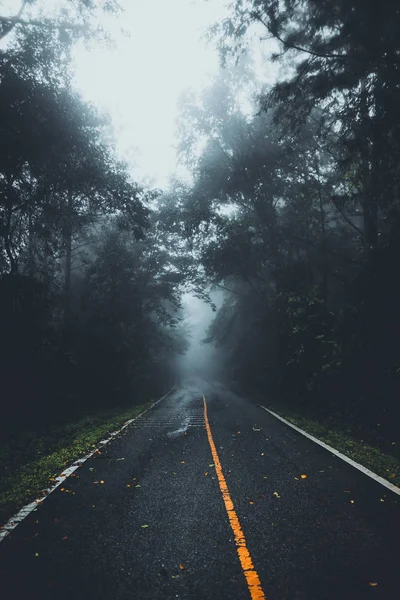 Δρόμος Για Δάσος Στην Εποχή Των Βροχών — Φωτογραφία Αρχείου