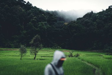 Çeltik tarlası Asya'da kırsal pirinç tarlalarında