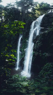 Ormanda Şelale Mok Fah Şelale