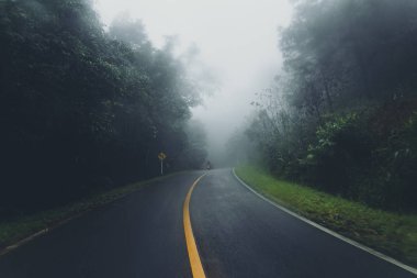 Ormanda ve seyahat sisli yollar