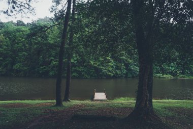 Pang Ung Rezervuar, Seyahat Rezervuar ve Çam Ormanı