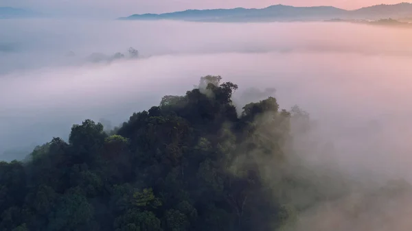 Sonnenaufgang Den Morgenbergen Und Nebel — Stockfoto