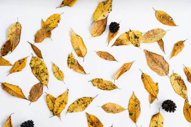 Sarı yapraklar beyaz ve sonbaharda ve bir fincan kahve