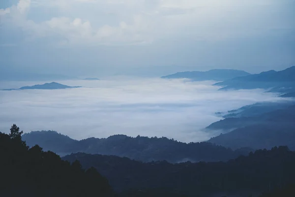 Mountains Fog Early Morning Hours — Stock Photo, Image