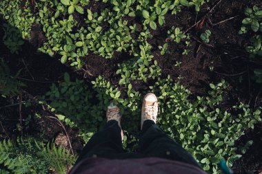 Yağmurdan sonra dağlar ve yeşil ağaçlar