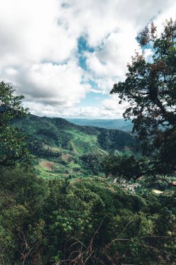 Yağmurdan sonra dağlar ve yeşil ağaçlar