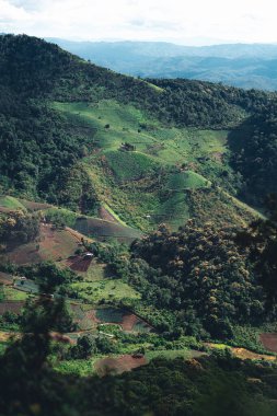 Yağmurdan sonra dağlar ve yeşil ağaçlar