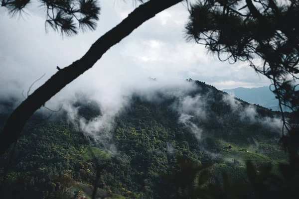 Montanhas Neblina Árvores Verdes Após Chuva — Fotografia de Stock