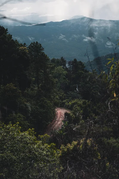 Niebla Las Montañas Árboles Verdes Después Lluvia — Foto de Stock