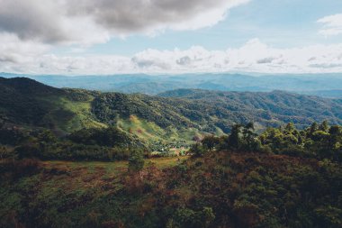 Yağmurdan sonra dağlar ve yeşil ağaçlar