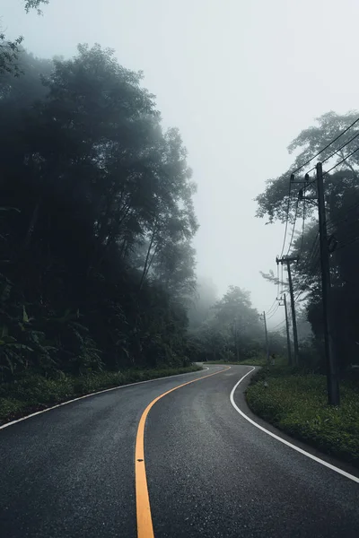 Brouillard Sur Route Montagnes Arbres Verts Après Pluie — Photo