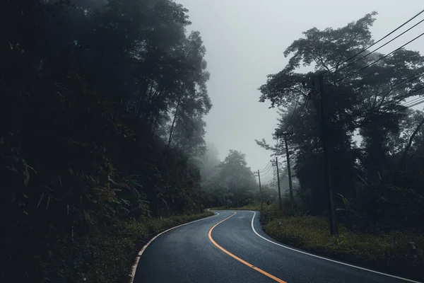 Niebla Camino Montañas Árboles Verdes Después Lluvia — Foto de Stock