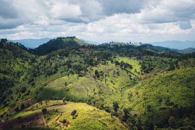 Yağmurdan sonra dağlar ve yeşil ağaçlar