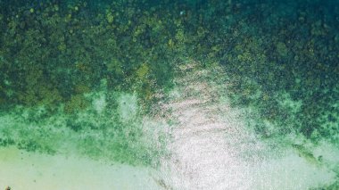 Adada berrak su, açık mavi deniz ve sahil.